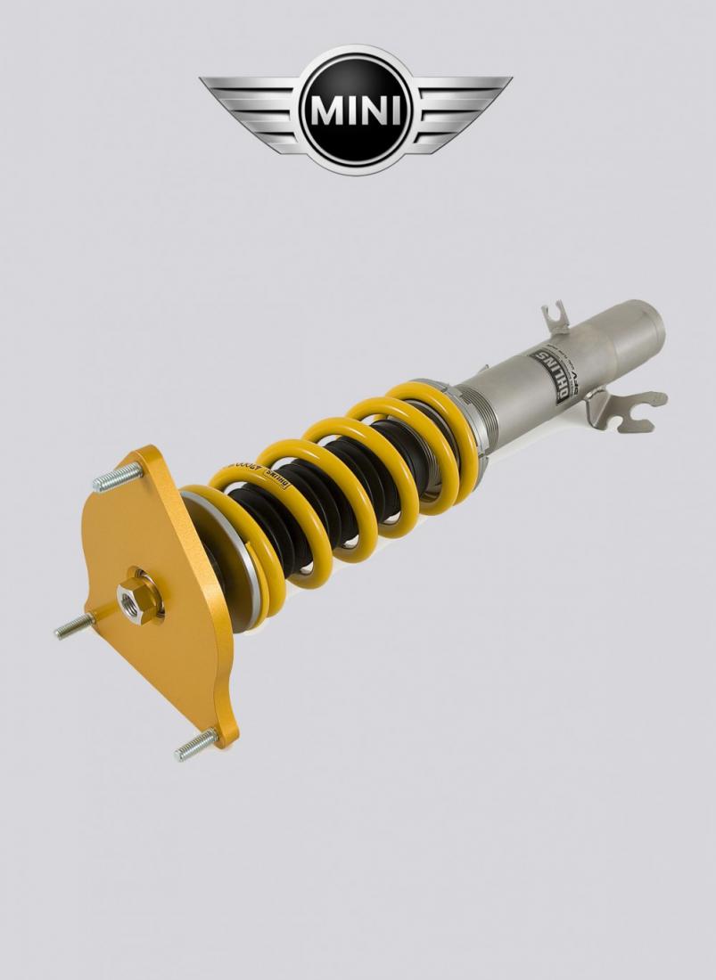 Mini R50/R53 Öhlins Road & Track shock absorber kit