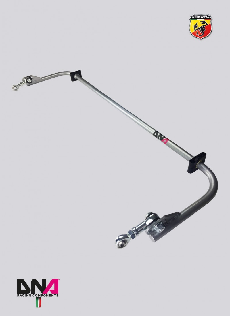 FIAT 500 EU REAR ADJ TORSION BAR KIT