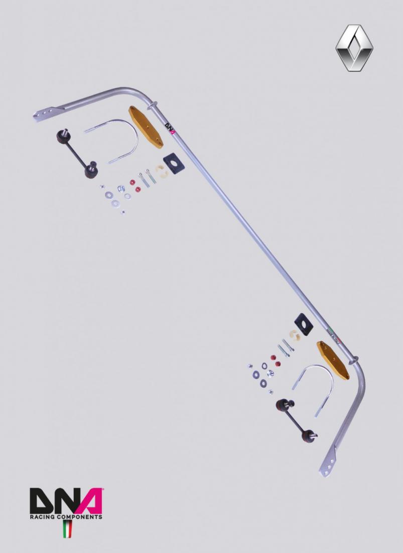 RENAULT CLIO 4 AND RS REAR ADJ. TORSION BAR KIT