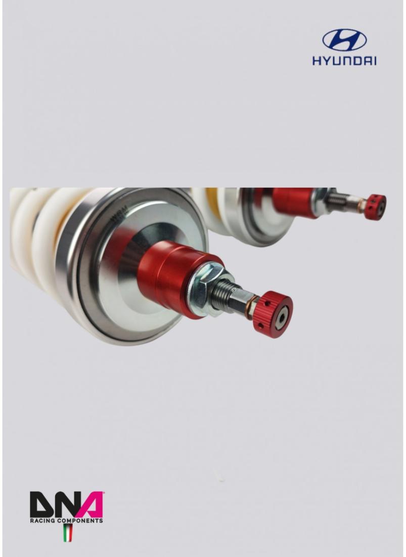Hyundai I20N DNA Racing WRS shock absorber kit