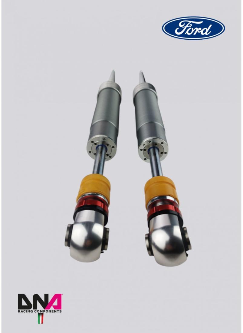 Ford Fiesta MKVIII (2017+) DNA Racing WRS shock absorber kit