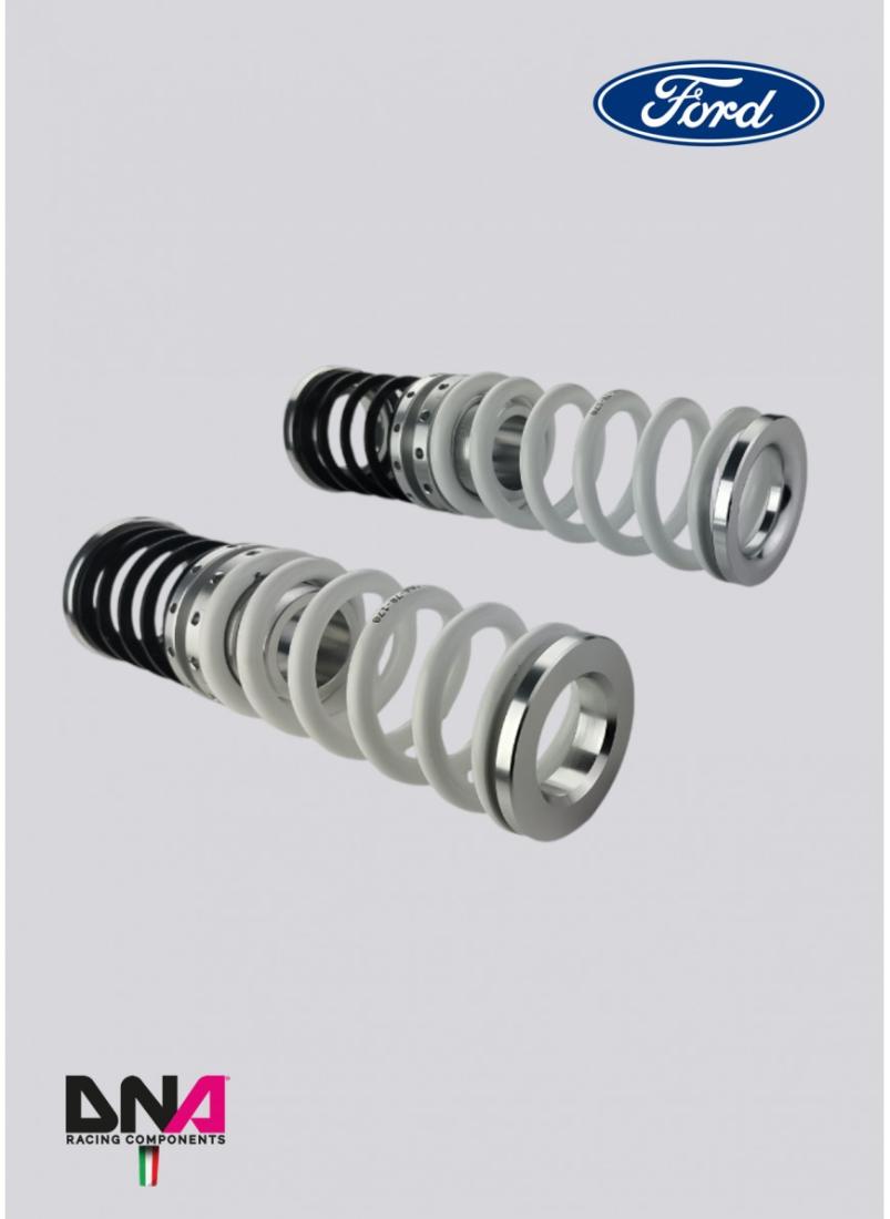Ford Fiesta MKVIII (2017+) DNA Racing WRS shock absorber kit