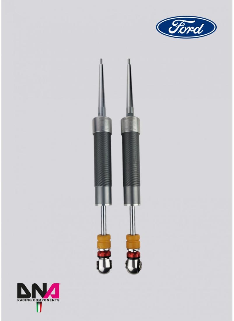 Ford Fiesta MKVIII (2017+) DNA Racing WRS shock absorber kit