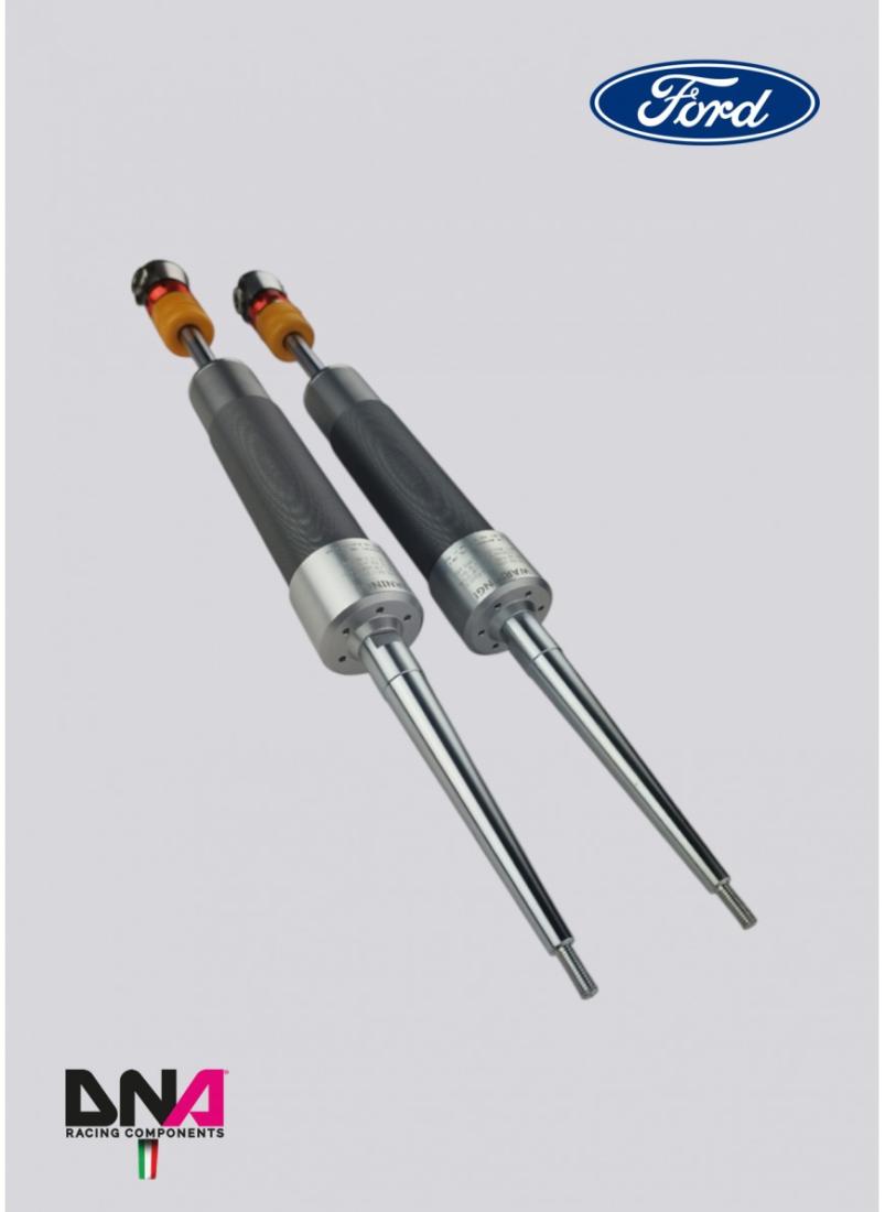 Ford Fiesta MKVIII (2017+) DNA Racing WRS shock absorber kit