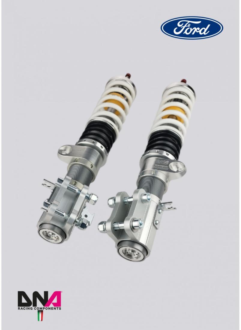 Ford Fiesta MKVIII (2017+) DNA Racing WRS shock absorber kit