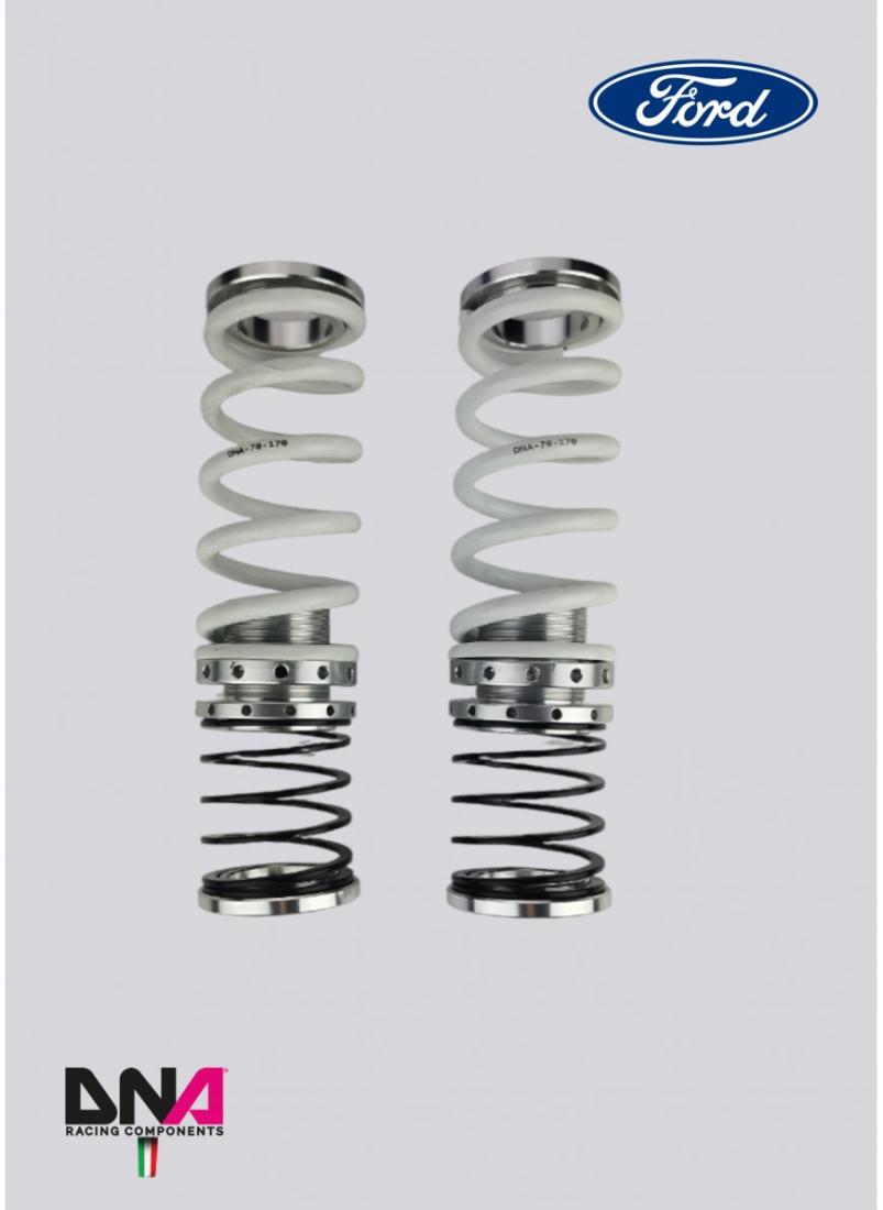Ford Fiesta MKVIII (2017+) DNA Racing WRS shock absorber kit