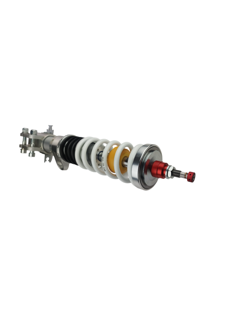 Ford Fiesta MKVIII (2017+) DNA Racing WRS shock absorber kit