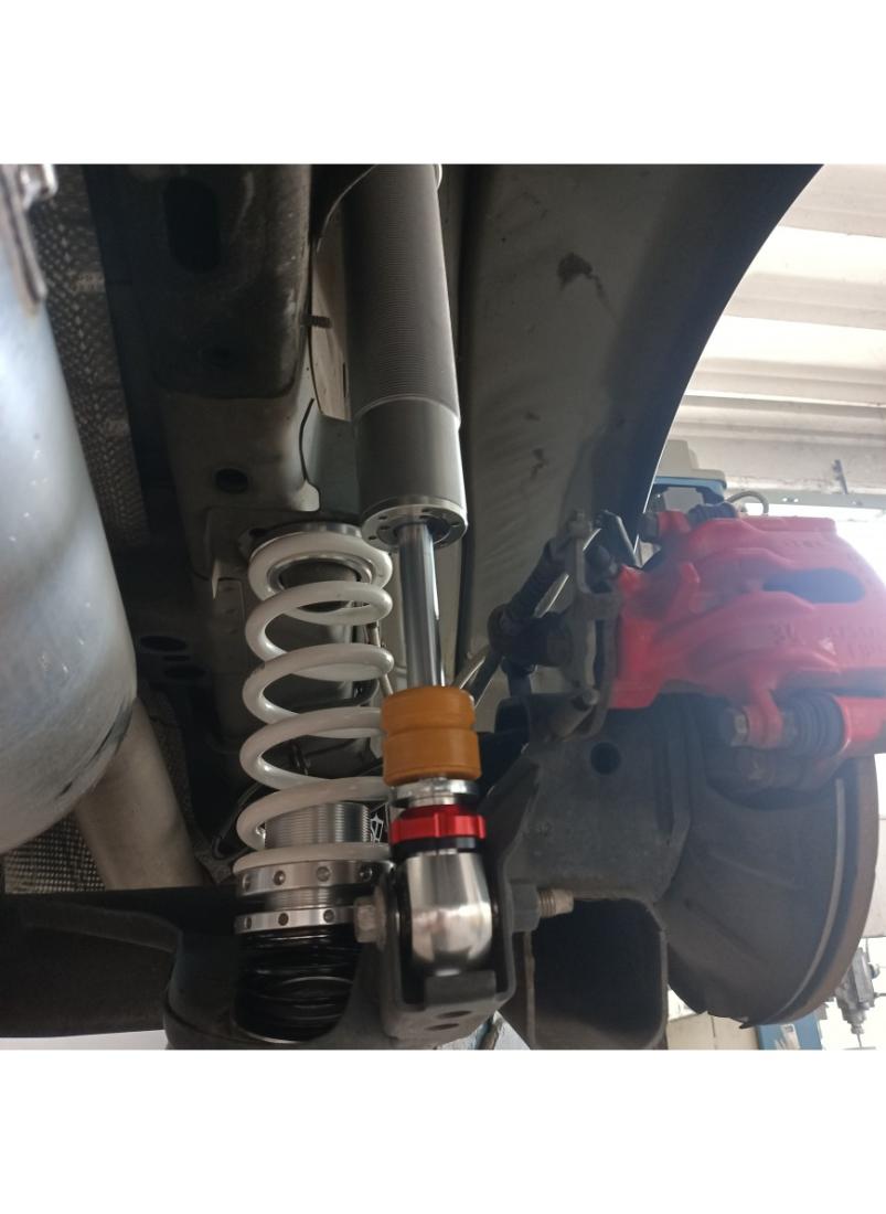 Ford Fiesta MKVIII (2017+) DNA Racing WRS shock absorber kit