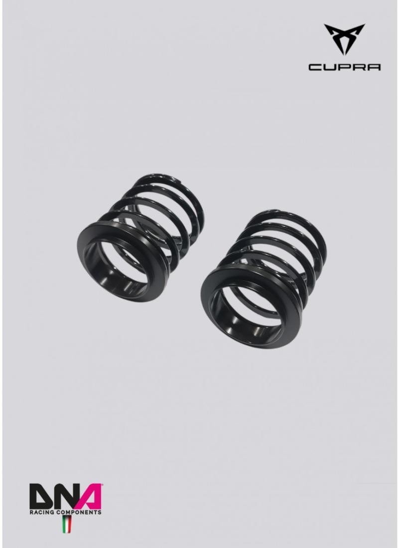 Cupra Formentor DNA Racing WRS shock absorber kit -