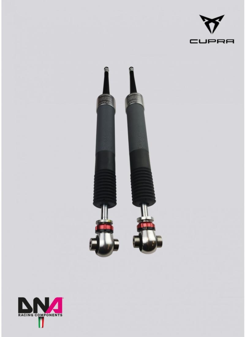 Cupra Formentor DNA Racing WRS shock absorber kit -