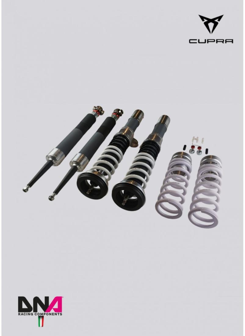 Cupra Formentor DNA Racing WRS shock absorber kit -