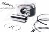 JAGUAR Pistons JAGUAR Pistons