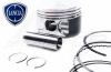 LANCIA Pistons and Rods LANCIA Pistons and Rods